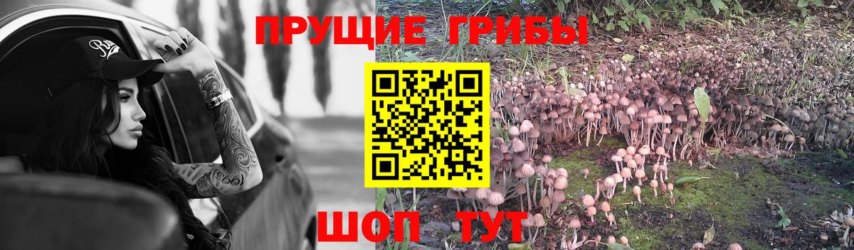 Нововоронеж  купить закладку  Вход с VPN  Псилоцибиновые грибы Magic Shrooms 